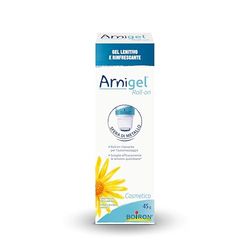 Arnigel Roll-on - Gel Lenitivo e Rinfrescante, Favorisce Rilassamento Muscolare, Lenisce Tensioni Quotidiane, a Base di Arnica Montana da Agricoltura Biologica, Origine Naturale - Confezione da 45 g