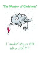 Leon de Kameleon 'Het wonder van Kerst' Humorkaart 5 x 9 ins