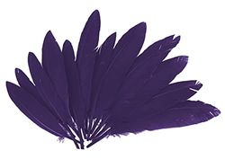 INNSPIRO Plumas indio lila Aprox. 25mmx140mm. 60u., ideal para manualidades con niños, decoraciones y actividades creativas