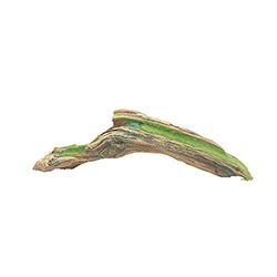 FLUVAL Plante d'Aquarium pour Aquariophilie Racine avec Mousse 28,5 cm