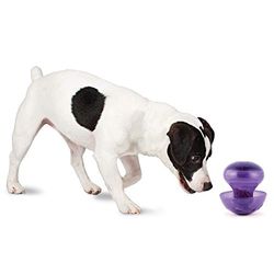 PetSafe Drukke Buddy Magic Paddestoel hond speelgoed, klein