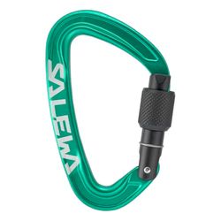 Salewa Ortles Schroef Karabijnhaak, Iers Groen, UNI