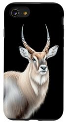 Antilope Waterbuck Custodia per iPhone SE (2020) / 7 / 8