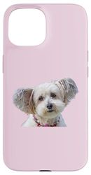 Chemise de race de chien maltais mignon Coque pour iPhone 15