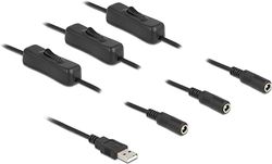 Delock Kabel USB type A stekker naar 3 x DC 5,5 x 2,1 mm bus met schakelaar 1 m
