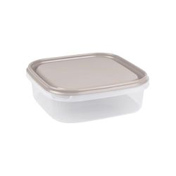Homea, Caja de conservación de plástico, 1,3 L, 19,5 x 19,5 x 6 cm, Color marrón