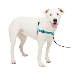 PetSafe Cães arnês de luxo Easy Walk, médio / grande, azul oceano, nylon, M/L