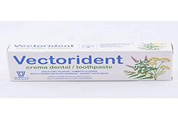 Vectorident Pasta 75Ml