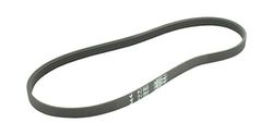 Greenstar 32939-11120 pj hutchinson cinghia trapezoidale elastico-5 chiodi di garofano, il nero,