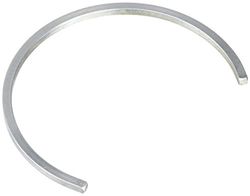 NSK SR100/4 único anillo de fijación para bloques de Plummer