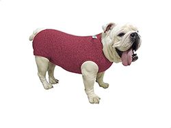 INSTR-FUN Body Regolare Post-QUIRURGICO Bulldog Ingles P 1 PETMED, 3600 W, 1 Liter, 44 Decibel, Plastica