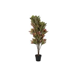 DKD Home Decor Decorative Plant, Standard