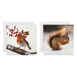 Hallmark Cartes de Noël – Lot de 16 en 2 designs National Geographic 25572278