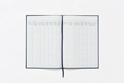 Exacompta - Ref 31/5Z - Guildhall Accountboek - 298 x 203 mm groot, Hardback Vinyl Cover, 95 gsm grootboek kwaliteit papier, traditioneel genaaid - 5 Cash Columns