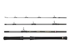 Penn Regiment IV Resespön, saltvatten fiskare fiske hav fisk torsk, havsål, bas, pollock, makrill, haj, stark lättvikt och mångsidig, silver, 2,10 m snabb tvåhänt spö
