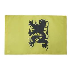 Vlaamse Bewegingsvlag 90x60 cm voor een paal - nationalistische Vlaanderensvlaggen 60 x 90 cm - Banier 2x3 ft met gat - AZ FLAG