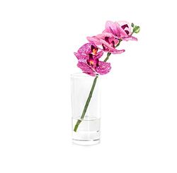 EUROCINSA Ref.86032C25 orkidéarrangemang PHALAENOPSIS FUCSIA med gul låda, plast, glas, 13 x 27 cm