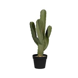 Pottery Pots Plantes Artificielles Cactus Cereus L Vert L L 44 x l 29 x H 72