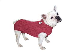 INSTR-FUN Body Regular Post-Chirurgico, Bulldog France, M 1 unità Petmed, 3600 W, 1 Liter, 44 Decibel, Plastica