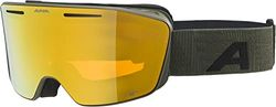ALPINA Unisex - Vuxna, NENDAZ Q-LITE Skidglasögon, olive matt, One Size