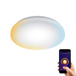 Alexa - Plafoniera a LED connessa, Google Home con variatore di colore e intensità – 24 W (120 W Eq) – Lampadina standard per ufficio, camera da letto, bambino, adulto, cameretta