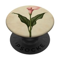 Calla Lily Floral Vintage Científica Ilustración Flor PopSockets PopGrip Adhesivo
