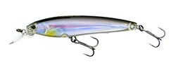 Yo-Zuri Duel 3DS Minnow 100 mm Suspend Lure f1157-hbs (8380)