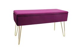 ECHTWERK Scarlet Zitbank, gestoffeerde bank met fluwelen bekleding, opbergkist rechthoekig, make-upbank met opbergruimte, opbergbank met metalen poten, 75 x 30 x 41,5 cm, polyester-mix, bessen