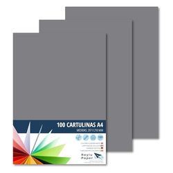 Raylu Paper® A4 100 Pieces Grey Card 180g 210x297mm Ideal for Binding, Office Work, Drawing, Crafts Cardstock Suitable for School Use (Dark Grey)