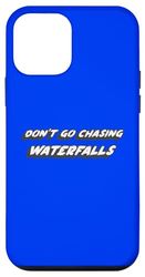 Don't Go Chasing Waterfalls | 90's Song Saying Quote Case for iPhone 12 mini