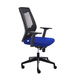 Rocada | Fauteuil de Bureau Ergonomique avec réglage Lombaire | Chaise de Bureau pour Ordinateur, Confortable et pivotante, Bleu et Noir