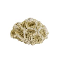 Nobby Aqua Ornaments Corallo 6,8 x 6,3 x 4 cm