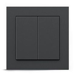 GIRA + Senic Interruptor Inteligente Friends of Hue | Interruptor Inalámbrico con Regulador de Luz para Bombillas Inteligentes Philips Hue | Sin Batería y Sin Carga | Antracita