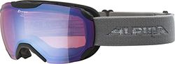 ALPINA Unisexe - Adultes, PHEOS S Q-LITE Lunettes de ski, black-grey, One Size