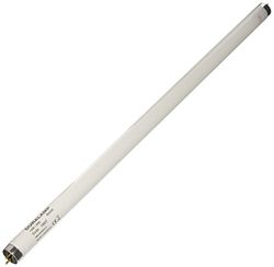 Gima - Tubo de neón 18 W 700 lm, repuesto para octotipos luminosos