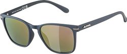 Alpina Yefe P Zonnebril, uniseks, blue matt, One Size