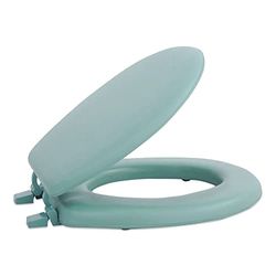 Achim Home Furnishings TOVYSTLG04 Gordijn Home Org & Meubels Loodgieterswerk, Lichtgroen, 17 Inch