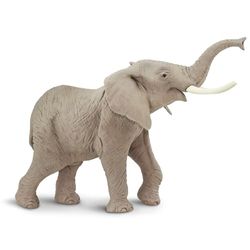Afrikaanse Olifant