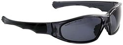 Eagle EAPOL - Óculos de proteção de trabalho com lentes polarizadas de policarbonato, cor cinzenta