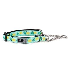 RC Pet Prodotti Training Martingale Dog Collar, Ananas Parade