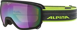 ALPINA Unisexe - Adultes, SCARABEO SPH.. Lunettes de ski, black matt, One Size