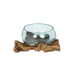 Stunning Small Molten Glass on Root Wood - 13cm x 20cm (1 Pc.) - Unique Handcrafted Centerpiece - Ideal Home Decor Accent