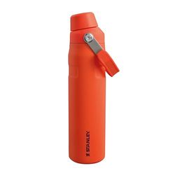 Stanley Aerolight Iceflow Fast Flow Borraccia Palestra 0.6L - Freddo Per 10 Ore - Coperchio A Flusso Rapido - Bottiglia Termos E Leggere - Lavabile In Lavastoviglie - Senza BPA - Tigerlily