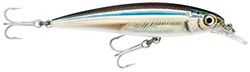 Rapala Señuelo X-Rap Saltwater-Material de Pesca para Grandes Peces Carnívoros, Unisex-Adult, Anchovy, 10cm/13g