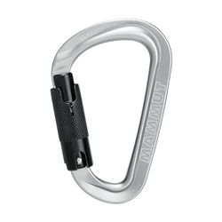 Mammut MOSQUETON Classic HMS TWISTLOCK Plus, Vuxna Unisex, Ljus grå (Grå), En Storlek