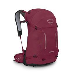 Osprey Hikelite 28 Chameleon/Black M/L