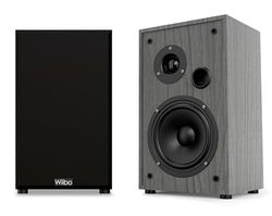 Wiibo | String 10 haut-parleurs HiFi - pour un son avec présence, profondeur et nuances - 100 W Speakers Couple - Mesures: 22,5 x 18,5 x 30 cm