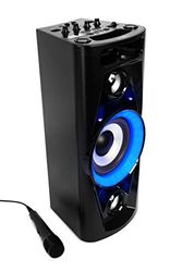 Reflexion Apparecchio audio da discoteca mobile PS07BT (Bluetooth, stereo True Wireless, radio, USB, AUX-IN, funzione karaoke e batteria) nero