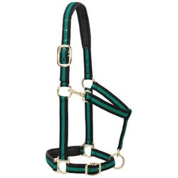 Weaver Leather Licol rembourré réglable en Nylon pour Cheval Vert 2,5 cm
