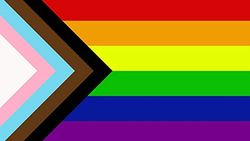 SHATCHI 5ft x 3ft Homoseksuele Lesbische Liefde Geslacht Diversiteit Pansexueel/Niet-Binary/Genderfluid Viering Supporter Fans Parade Bruiloft Geschenken Decoraties, LGBTQ Trans
